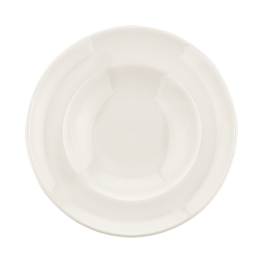 Gourmet Deep Plate 27 cm 400 cc